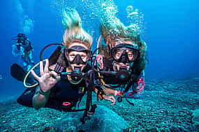 Photo 1 Scuba Diving with Lunch & Roundtrip Transfer from Alanya