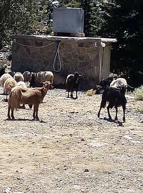 Foto 1 CHQ04. Private Tour zu den kretischen Dörfern Apokoronas und Prophet Ilias