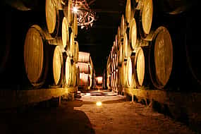 Fotografie 1 Arrabida Wine Tour from Lisbon: Wineries, Tastings & Tile Factory (group tour)