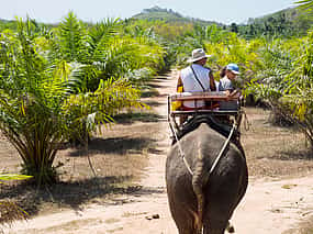 Photo 1 Phuket: Jangle Safari with Bamboo Rafting and Elephant Riding