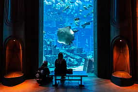 Photo 1 Admission Tickets to Dubai Aquaventure and Lost Chambers Aquarium