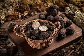 Zdjęcie 1 Cyprus Truffle Tour