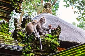 Foto 1 Bali Verborgene Juwelen Tour