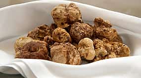 Photo 1 Private Truffle Tour with San Miniato and Vinci