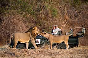 Photo 1 Full-day South Luangwa Private  Tour