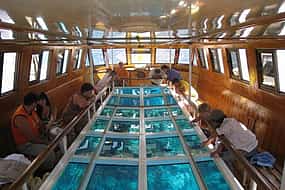 Photo 1 Exploring the Sea in Glass Bottom Boat in Sharm el Sheikh