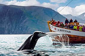 Фото 1 Húsavík Original Whale Watching