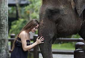 รูปภาพ 1 Bali Elephants Safari Park