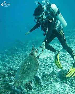 Fotografija 1 Explore Submerged Treasures: Scuba Diving Experience in Djerba
