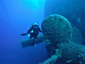 Foto 1 Guided Scuba Diving Tours (Certified divers)