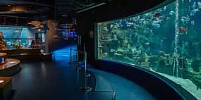Photo 1 Cretaquarium Tour From Heraklion - Pick up from Kokkini Hani to Malia