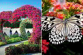 Fotografija 1 Dubai Miracle & Butterfly Garden tour with private transfers