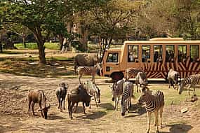 Фото 1 Bali Safari Jungle Hopper Experience with Safari Tram