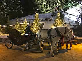 Photo 1 Carriage Ride in Courchevel