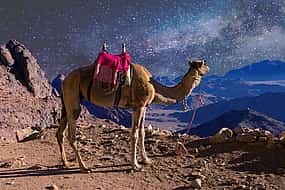 Photo 1 Mount Sinai and Saint Catherine’s Monastery 2-day Tour from Cairo