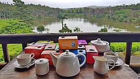 Фото 1 Для семейных пар: Чайный маршрут на целый день с дегустацией чая и рома