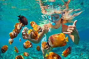 照片 1 Snorkeling Tour at Blue Lagoon Beach