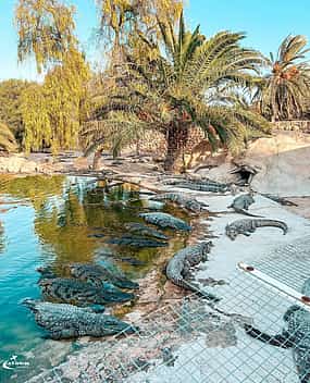 Fotografija 1 Djerba Explore: A Stunning Journey into Culture and Nature