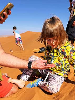 Photo 1 Morocco Family Tour - 7 day Tour From Marrakech To Casablanca