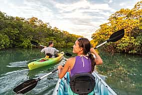 Photo 1 Kayaking in Purple Island