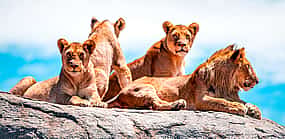 Photo 1 5-Day Tanzania Private Safari