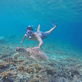 Photo 1 Full-day Snorkeling Excursion Gili Trawangan, Meno, Air