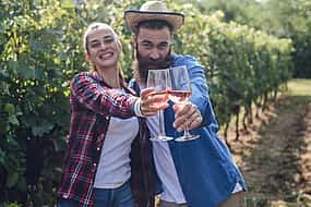 Photo 1 Montserrat & Penedes Winery Private Day Trip with Cava Tasting