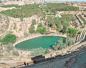 Zdjęcie 1 Oases, Adventure & Star Wars: An Epic Journey from Douz to Tozeur