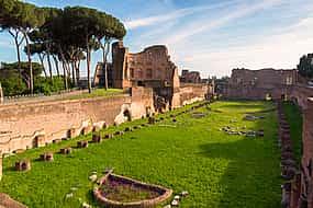 Foto 1 Visita privada del Coliseo con el Foro Romano y el Palatino