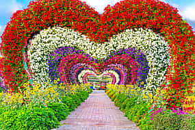 Photo 1 Dubai Miracle Garden Tour & Desert Safari with BBQ Dinner