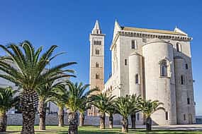 Fotoğraf 1 Private transfer: Naples to Lecce,2h of sightseeing stop in Trani