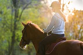 Photo 1 Horseback Riding Experience