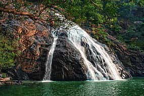 Photo 1 Dudhsagar Falls Tour