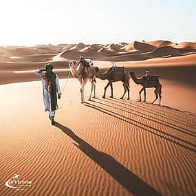 Fotografija 1 5-Day Desert & Heritage Adventure in Tunisia from Tunis