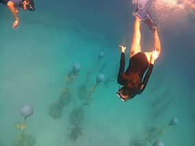 Photo 1 Snorkelling on MUSAN (underwater museum of Ayia Napa)