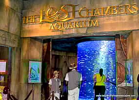 Foto 1 Atlantis Aquaventure Water Park & Lost Chambers Tour with Private Transfers