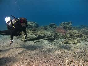 Foto 1 Scuba Diving for Beginners (try dive)