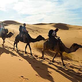 Foto 1 Agadir Paseo en camello con cena barbacoa