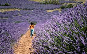 Photo 1 Lavender Fields and Salda Lake from Kemer