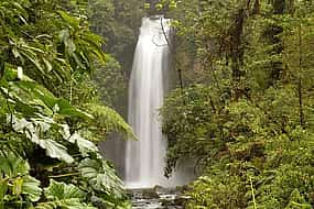 รูปภาพ 1 Private Transfer From San Jose to Cahuita With 2 Stops