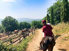 Фото 1 Конный тур по Тосканским холмам из Сиены