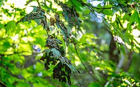 Фото 1 Экскурсия "Деревни Западного Родоса и Долина бабочек