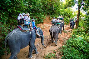 Photo 1 Phuket: Bamboo Rafting, Elephant Trekking with 15-minute ATV Riding