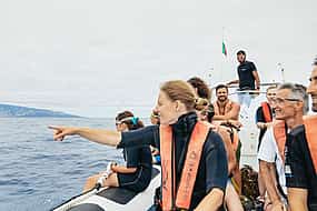 Photo 1 Dolphins/Whales Experience