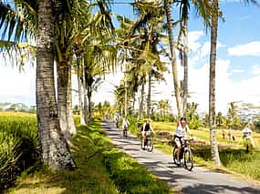 Photo 1 E-bike Ubud to Tirta Empul Trip