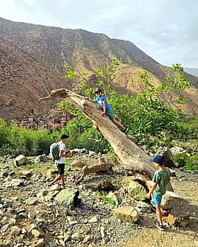 รูปภาพ 1 Marrakech: Atlas Mountains, Ourika Valley, Waterfall with Lunch