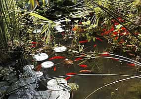 Foto 1 Half-Day Tour tangier with Pick-up & Drop-off: Donabo Garden, Hercules Caves & Camel Ride