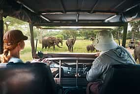 Foto 1 Für Paare: Private Jeep-Safari im Udawalawa-Nationalpark