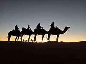 Foto 1 Camel Back Ride in der marokkanischen Sahara
