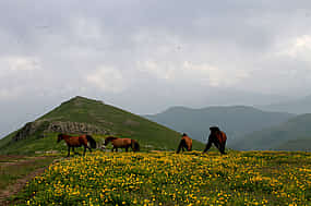 Photo 1 2-day Alpine Meadow Horseback Riding Tour in Armenia